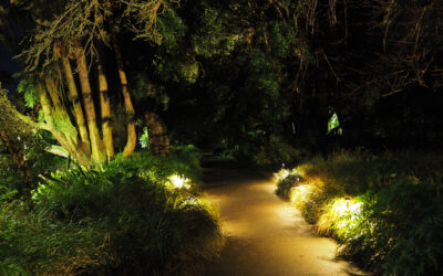 Switch Lighting’s Garden Range creates enchanting outdoor spaces