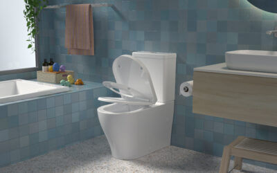 Redefining Bathroom Hygiene: The Caroma Family Seat – A Versatile Solution for Growing Families