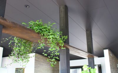 Built to Last — Triboard TGV from Juken New Zealand