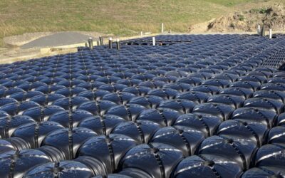Cupolex Ecodome: The Smarter, Greener Way to Build Foundations