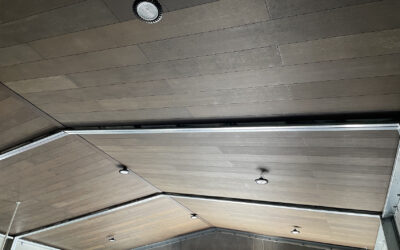 Triboard® TGV: A Stronger, Smarter Alternative for Wall and Ceiling Linings